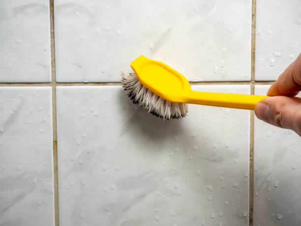 Best Emergency Mold Remediation in Mount Ivy, NY